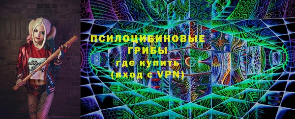 соль ск Пестово