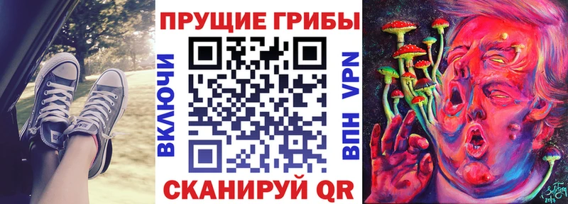 Псилоцибиновые грибы Psilocybe  Анапа 